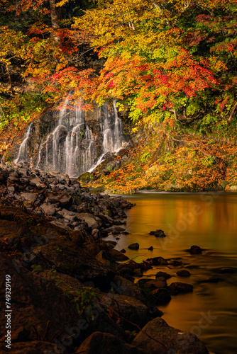 Fototapeta Naklejka Na Ścianę i Meble -  日本　青森県黒石市にある中野もみじ山のライトアップされた紅葉と不動の滝