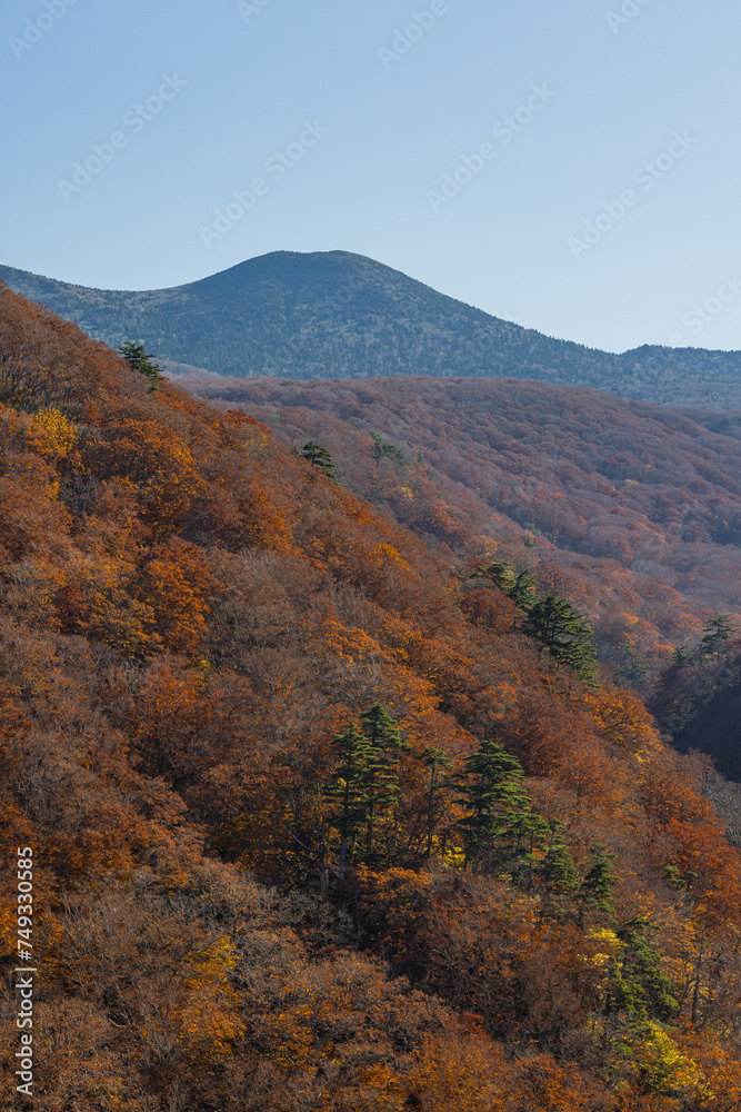 日本　青森県青森市の十和田八幡平国立公園内にある城ヶ倉大橋から見える城ヶ倉渓流の紅葉と八甲田連峰