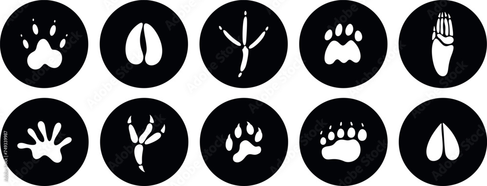 Paw print silhouette. Isolated paw print on white background Paw print silhouette. Isolated paw print on white background