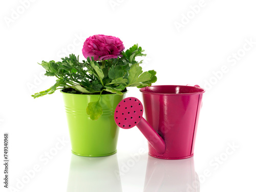 Fototapeta Naklejka Na Ścianę i Meble -  green bucket with spring flowers