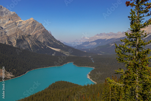 Peyto Lake  Banff National Park  Alberta  Canada