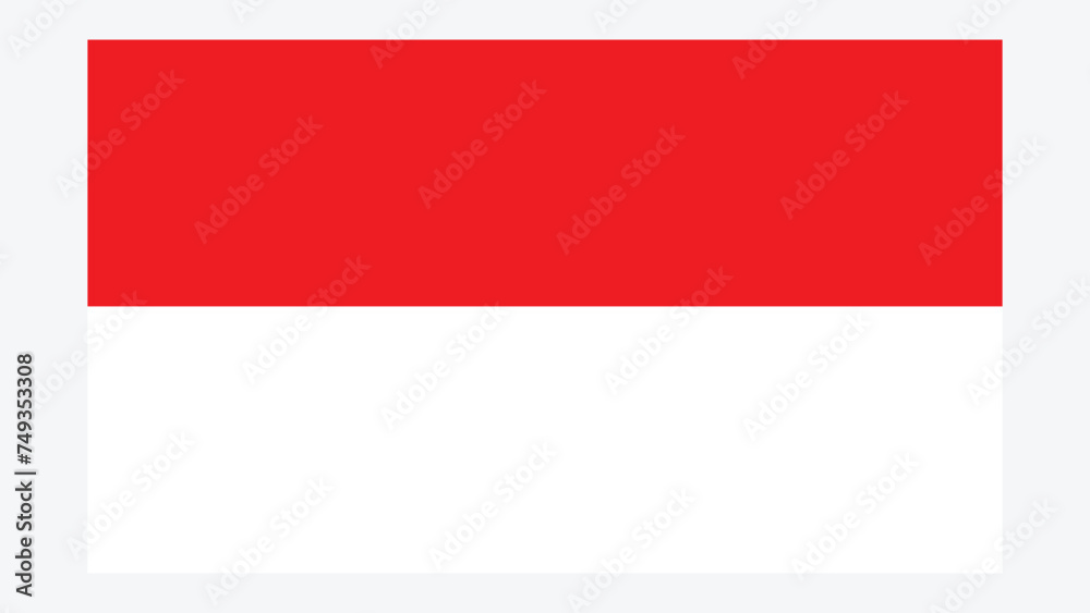 INDONESIA Flag with Original color