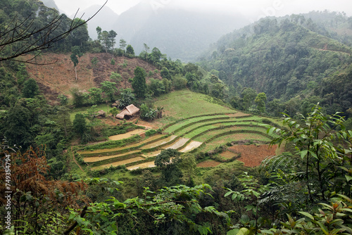 Terraced rice field with traditional farmhouse in the area of Mai Chau, Vietnam