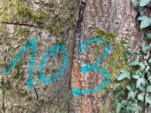 A blue number 103 painted on a bark of a tree