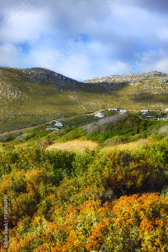 Outdoors  town and trees or field in countryside  ecosystem and calm hill for holiday or vacation. Peace  sustainable environment and travel to relax in South Africa  plant and cloudy sky for ecology