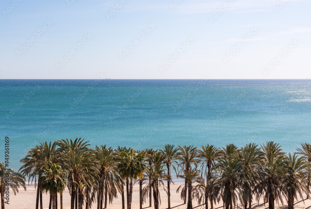 palm trees on the beach in a summer like day in the Mediterranean Sea