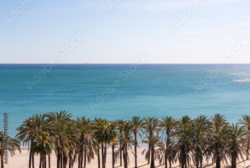 palm trees on the beach in a summer like day in the Mediterranean Sea