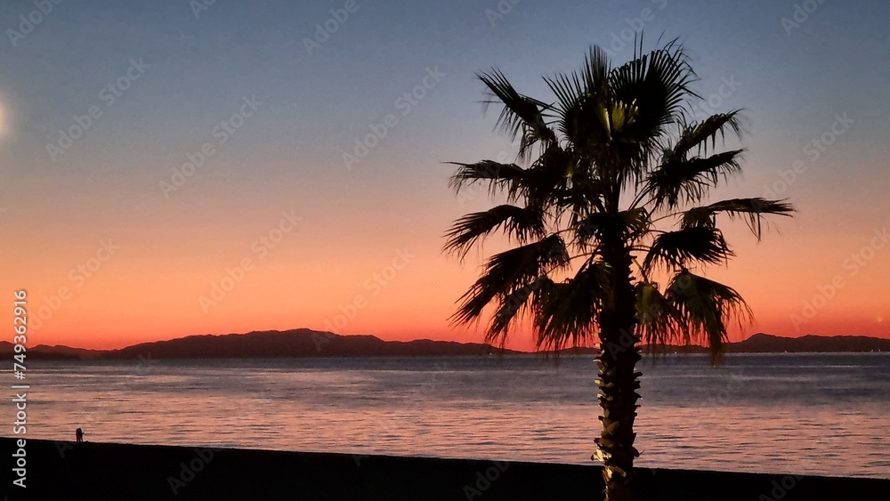 Sunset over the sea. Osaka, Japan. It is a beautiful photo of palm trees on the beach turning red as the sun sets. 