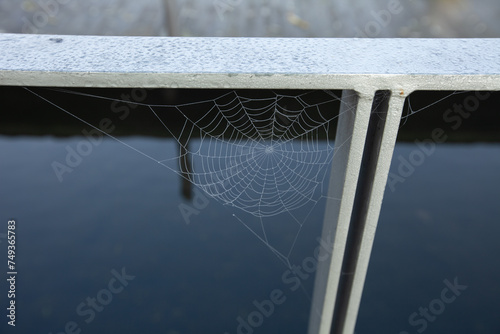 Tableau sur toile Delicate, intricate spider web glistens with dewdrops, suspended on the side of a window, waiting for an unsuspecting prey