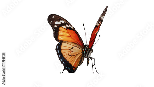 A vibrant and radiant butterfly gracefully flutters on a transparent background © xKas
