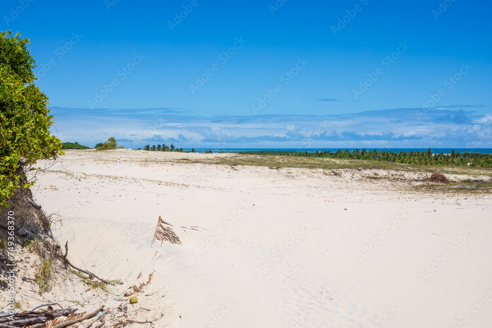 Dune area in Mangue Seco village
