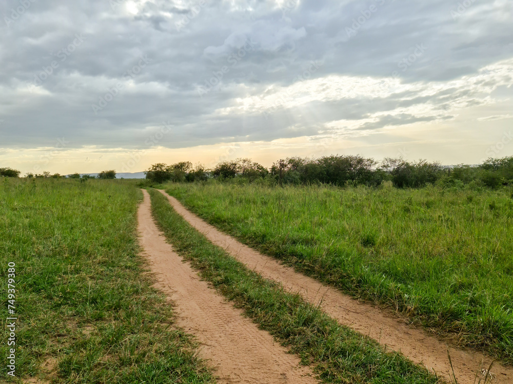 Typical savannah landscape in the heart of Africa during the rainy season.