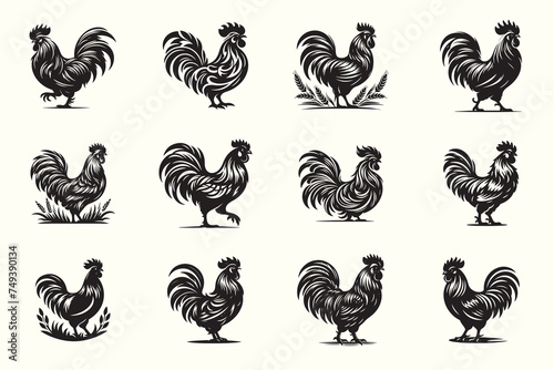 Hen or Chicken Silhouette Vector Illustration Bundle set