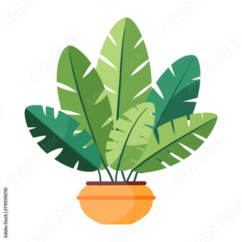 Tropical plant in a pot. Flat style. Green plant in a flower pot for cozy decoration of home, garden, veranda, balcony, terrace, office, living room, patio. Vector illustration.