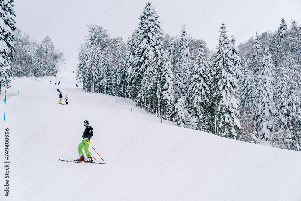 Skiers in colorful ski suits descend a hilly snowy slope along a forest