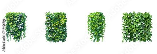 green grass. Green wall, living wall, eco design clipart vector illustration set photo