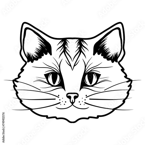 Hand draw cute cat coloring book or active page