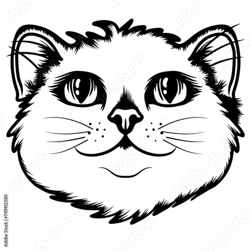 Hand draw cute cat coloring book or active page
