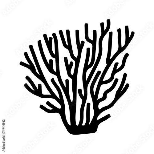 Vector single sea coral. Hand drawn doodle illustrations