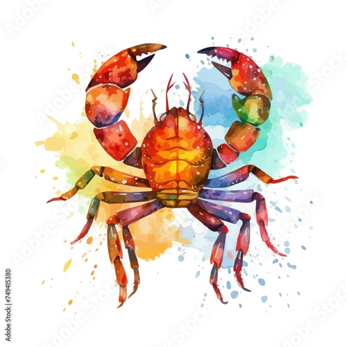 Hand drawn watercolor of a crab, isolated on a white background, Drawing clipart, Illustration Vector, Graphic