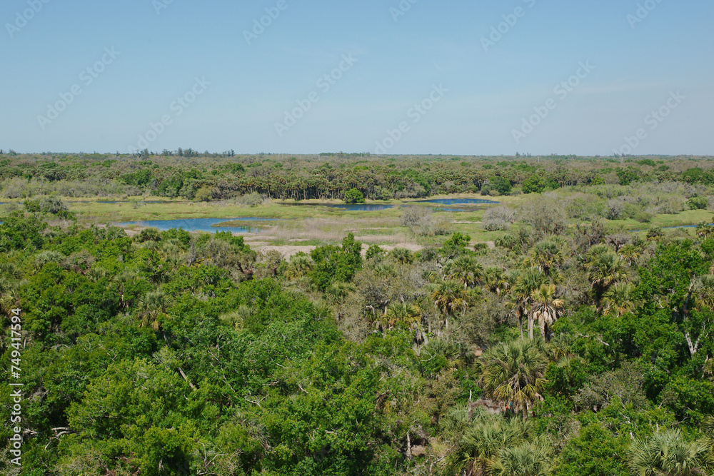 High view from Observation Tower at  Myakka River State Park in Sarasota, Florida. High view over green tree tops with a sunny blue sky with smoke in the sky. Shows blue water lakes.