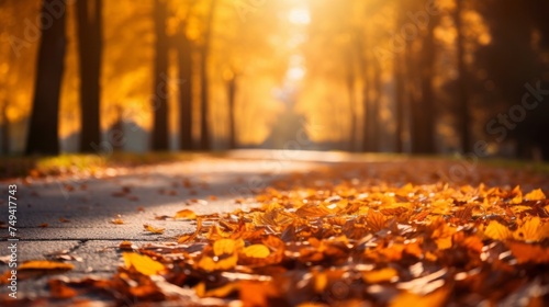 Horizontal Autumn Background with fallen orange leaves near the road in the park on a blurred background of yellow trees. Season  Landscape  Nature  Copy Space.