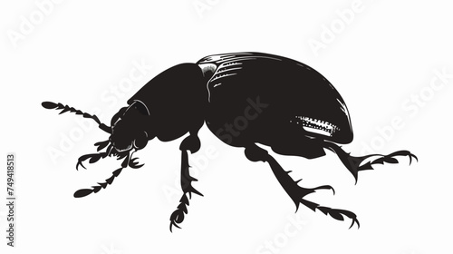 Vector image of the Colorado beetle silhouette on a white photo