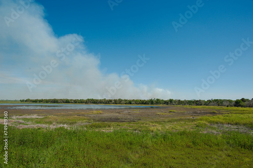 Wide view across Myakka Lake at Myakka River State Park in Sarasota Florida, Green grass, blue water with a blue and white sky with room for copy. Layed front to back no people.