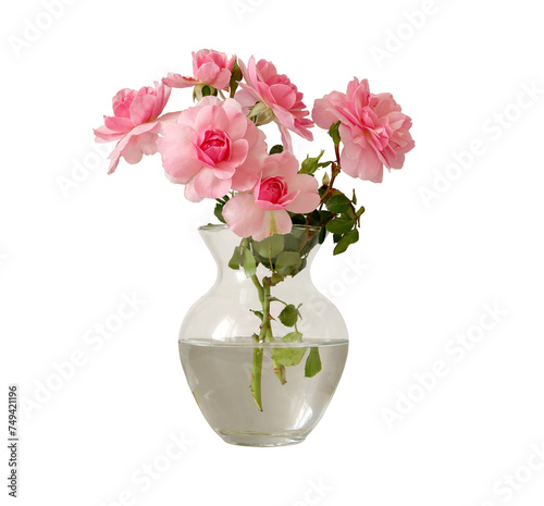 Wallpaper Mural Pink rose flowers in glass vase isolated on white background Torontodigital.ca