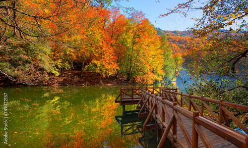 Autumn forest landscape reflection on the water with - Autumn landscape in  seven lakes  National park of  Yedigoller  Bolu 