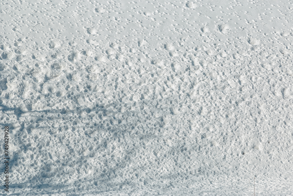 Fototapeta premium 真っ白な雪に覆われた、晴天の雪国の風景