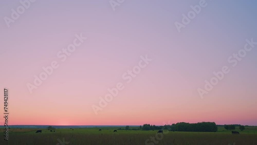 Beautiful Grass Field In Countryside. Field Of Grass During Sunset. Colorful Cloudy Sunset On Background Of Landscape.