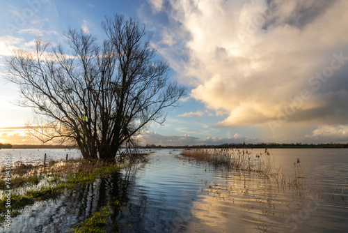 Les marais du Cotentin