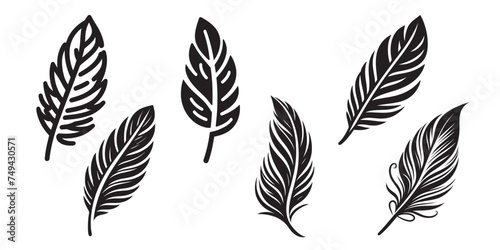 set of black feathers on a white background. feather icon vector illustration.