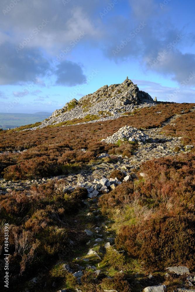 Fototapeta premium Outcrop on the Shropshire Hills known as the Stiperstones