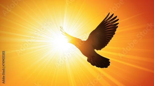 A dove in flight is silhouetted against a radiant burst of sunlight, symbolizing hope and new beginnings.
