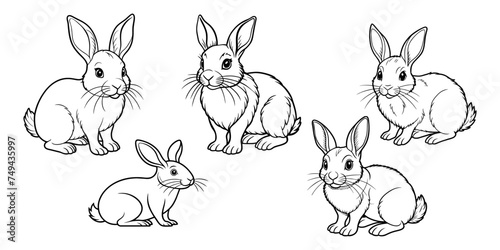 A set of five cute bunny rabbit outline sketch vector illustration