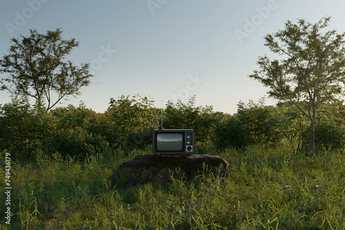 An old tv on stone in the middle of an overgrown grassy landscape. 3D Rendering © Brilliant Eye