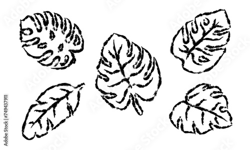 A collection of outlined tropical leaves on a white background.