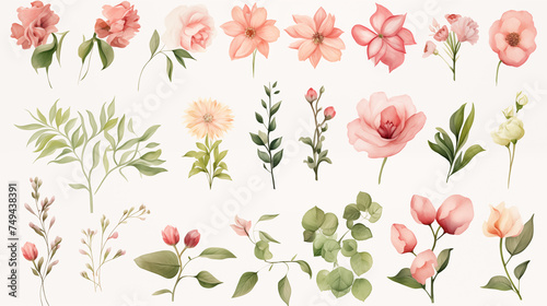 pattern with pink tulips © Aku Creative