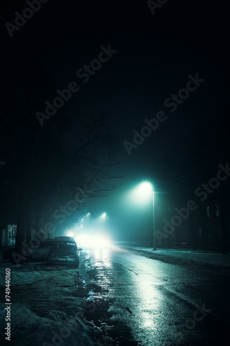 Street lamps in winter shrouded in fog along the road, cyanide tinting, vertical photo