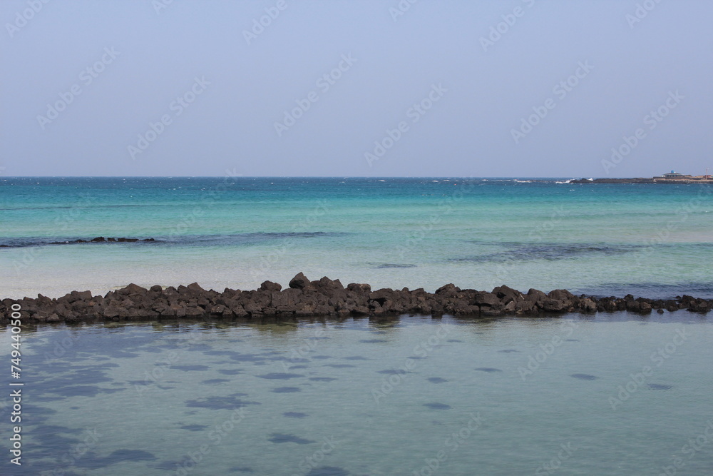 a coastal landscape