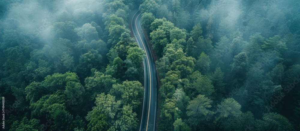 An aerial perspective of a road meandering through a lush forest, surrounded by dense trees and greenery. - obrazy, fototapety, plakaty 