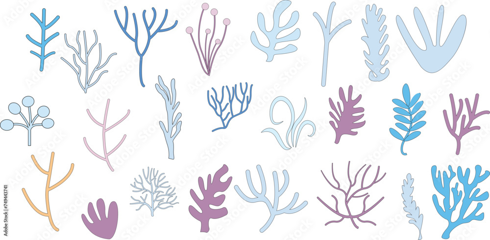 Set corals seaweed silhouette marine plant elements isolated vector decorative elements isolated illustration on white background icons and stamp
