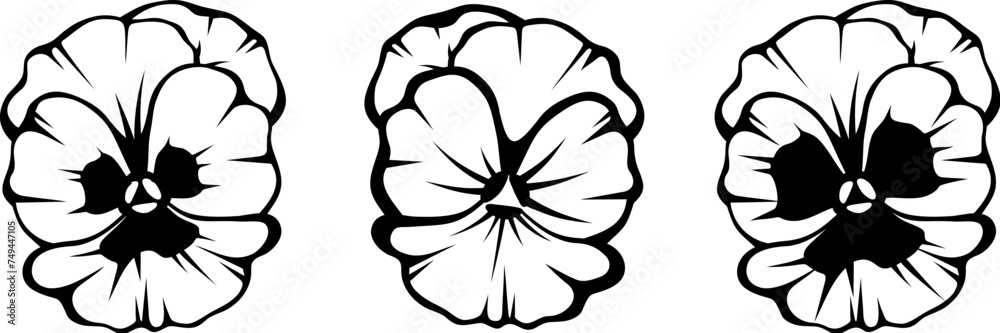 Pansy flowers. Black silhouettes of pansy flowers isolated on a white background. Set of black and white vector illustrations Pansy flowers. Black silhouettes of pansy flowers isolated on a white background. Set of black and white vector illustrations