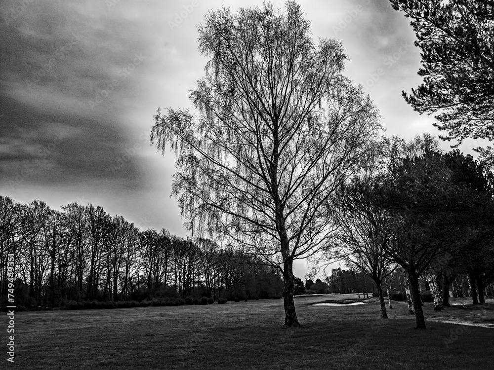 Naklejka premium Walking on an empty golf course