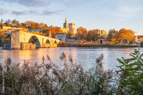 Avignon city and his famous bridge over the Rhone River. Photography taken in France