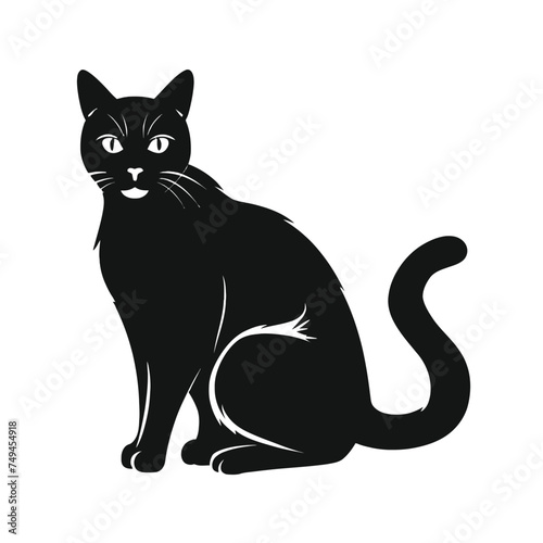black Cat illustration silhouette, vector in white background.