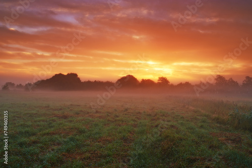 Clouds  landscape and field in nature  sunset or peace in morning with countryside tranquility sustainability. Freedom  farm and sunrise outdoor for travel  explore or adventure in Amsterdam vacation