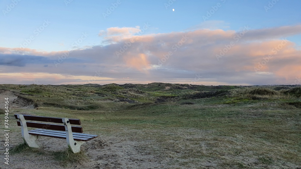 Bench at a wide field Bench at a wide field